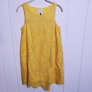 HD in Paris Anthropologie Yellow Lined Shift Dress